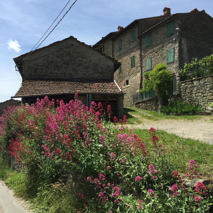 Apartmán Castello di Urbech Pratovecchio Exteriér fotografie