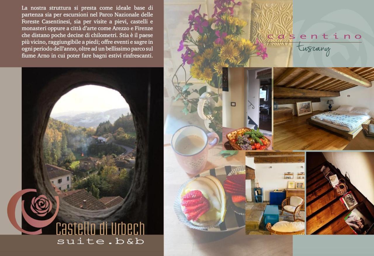 Apartmán Castello di Urbech Pratovecchio Exteriér fotografie